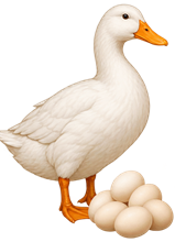Ilustrasi bebek petelur putih bersama sekelompok telur